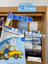 自動車保険の見直ししてみませんか？